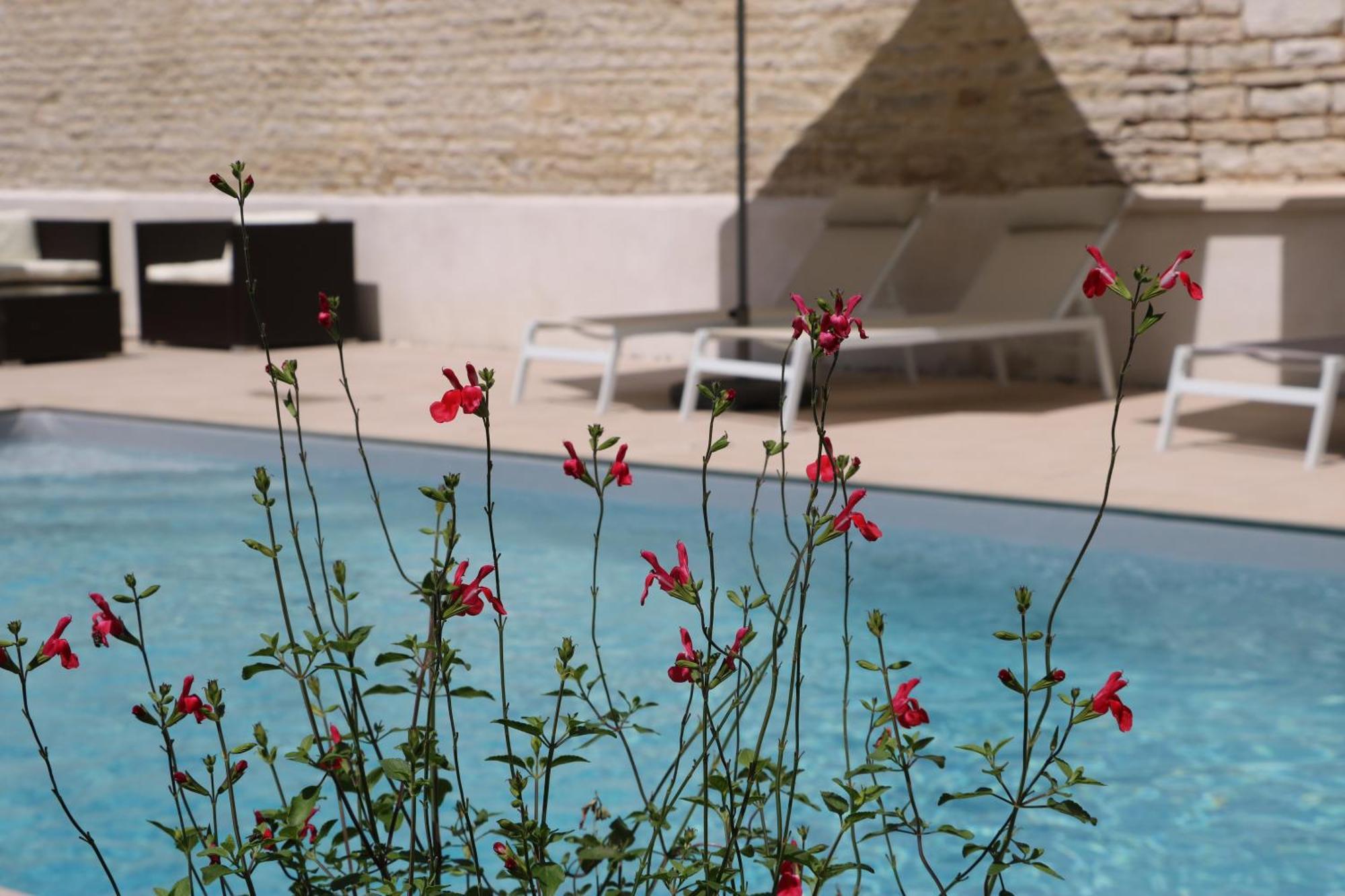 La Villa Lombardi En Champagne, Avec Piscine Privee Et Jacuzzi Les Riceys Dış mekan fotoğraf